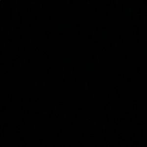 Meet your Posher, Rayla